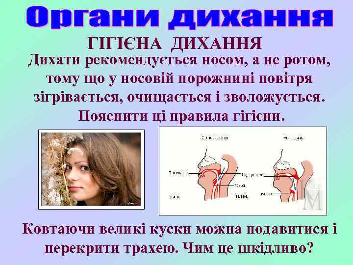 ГІГІЄНА ДИХАННЯ Дихати рекомендується носом, а не ротом, тому що у носовій порожнині повітря