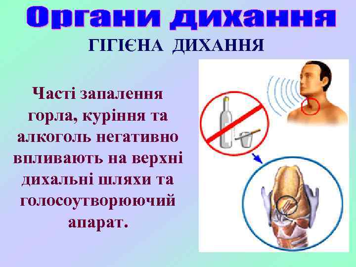 ГІГІЄНА ДИХАННЯ Часті запалення горла, куріння та алкоголь негативно впливають на верхні дихальні шляхи