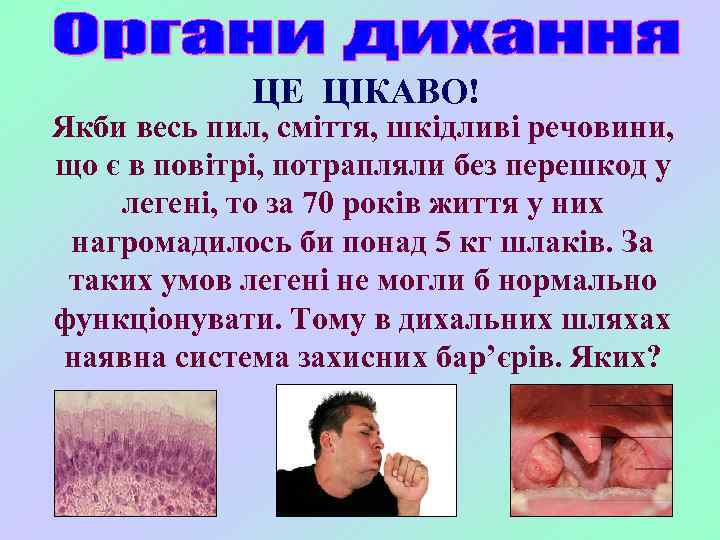 ЦЕ ЦІКАВО! Якби весь пил, сміття, шкідливі речовини, що є в повітрі, потрапляли без