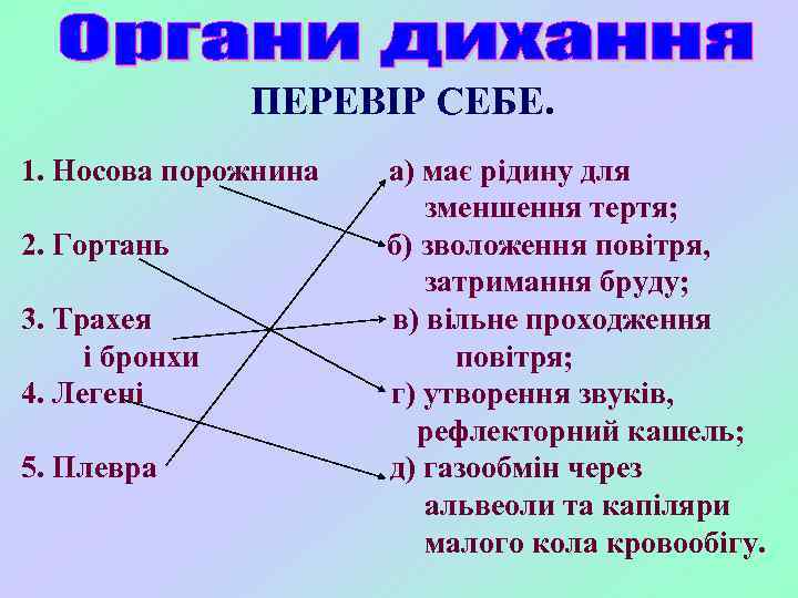 ПЕРЕВІР СЕБЕ. 1. Носова порожнина 2. Гортань 3. Трахея і бронхи 4. Легені 5.