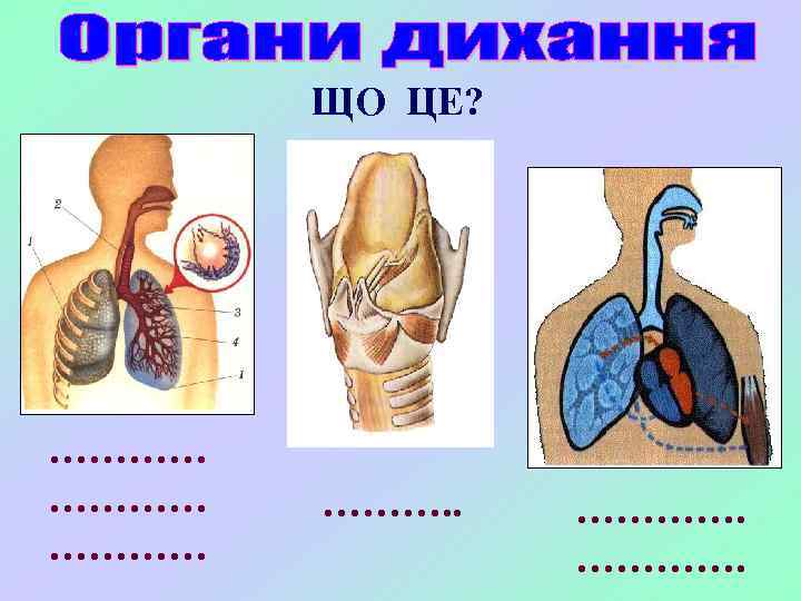ЩО ЦЕ? ………… ………. . …………. 