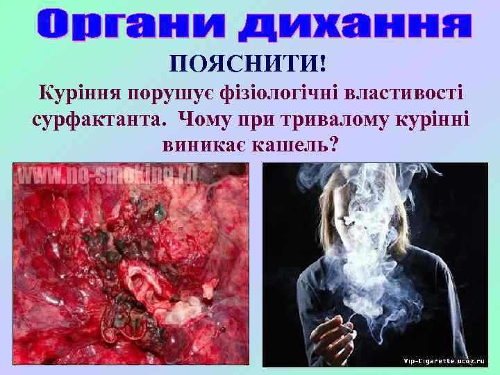 ПОЯСНИТИ! Куріння порушує фізіологічні властивості сурфактанта. Чому при тривалому курінні виникає кашель? 