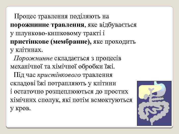 Процес травлення поділяють на порожнинне травлення, яке відбувається у шлунково-кишковому тракті і пристінкове (мембранне),