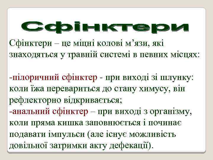 Сфінктери – це міцні колові м’язи, які знаходяться у травній системі в певних місцях: