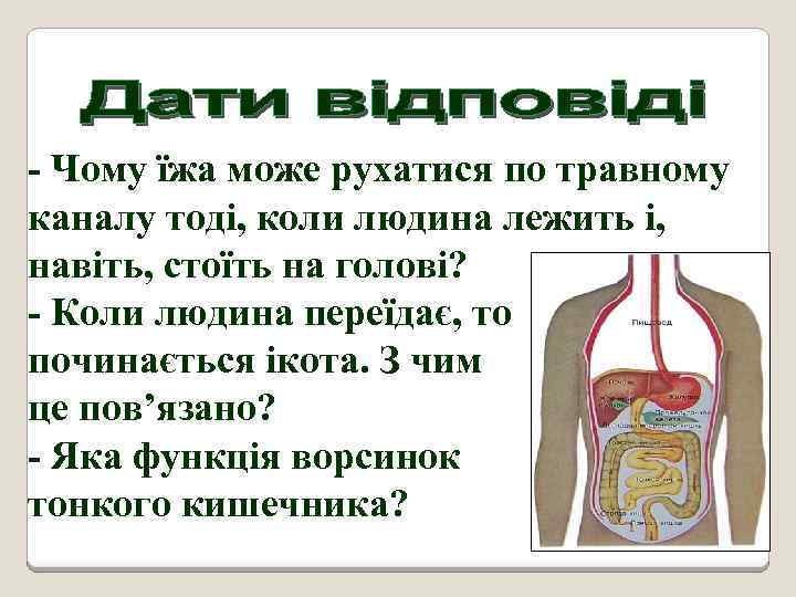 - Чому їжа може рухатися по травному каналу тоді, коли людина лежить і, навіть,