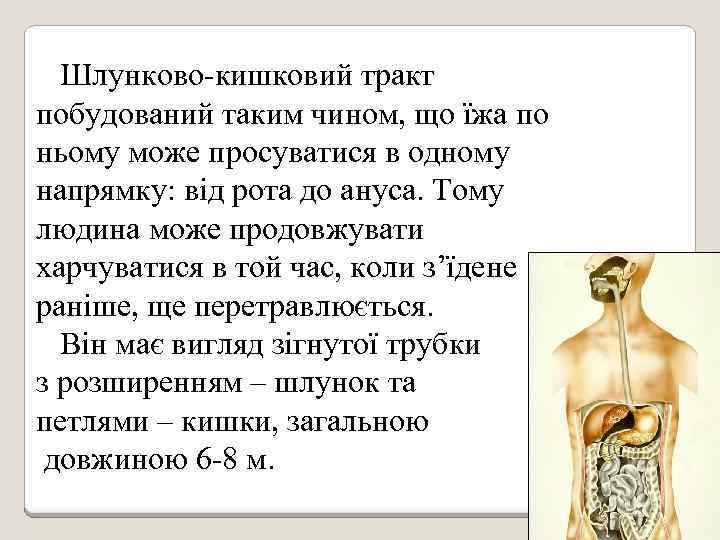 Шлунково-кишковий тракт побудований таким чином, що їжа по ньому може просуватися в одному напрямку: