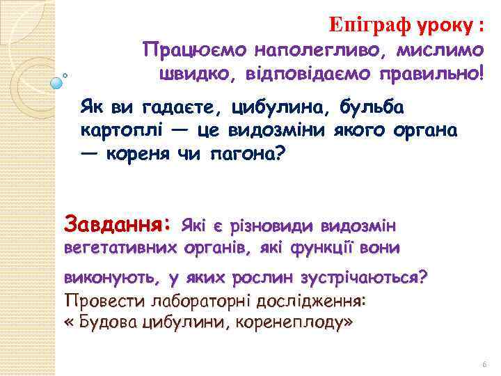 Епіграф уроку : Працюємо наполегливо, мислимо швидко, відповідаємо правильно! Як ви гадаєте, цибулина, бульба