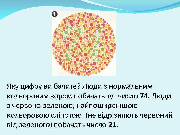 Яку цифру ви бачите? Люди з нормальним кольоровим зором побачать тут число 74. Люди