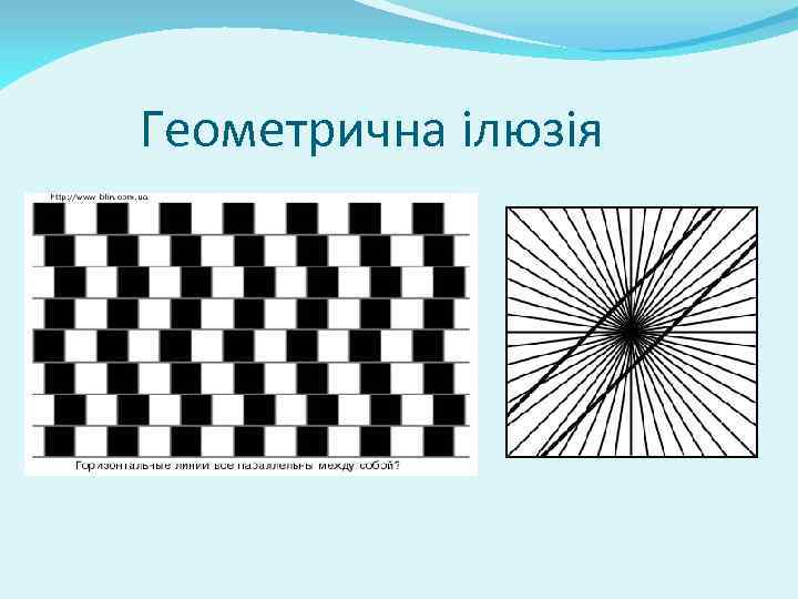 Геометрична ілюзія 