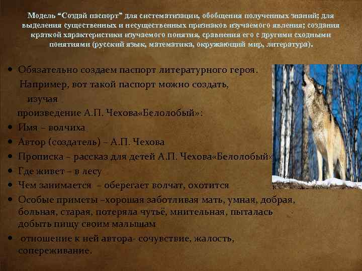 Модель “Создай паспорт” для систематизации, обобщения полученных знаний; для выделения существенных и несущественных признаков