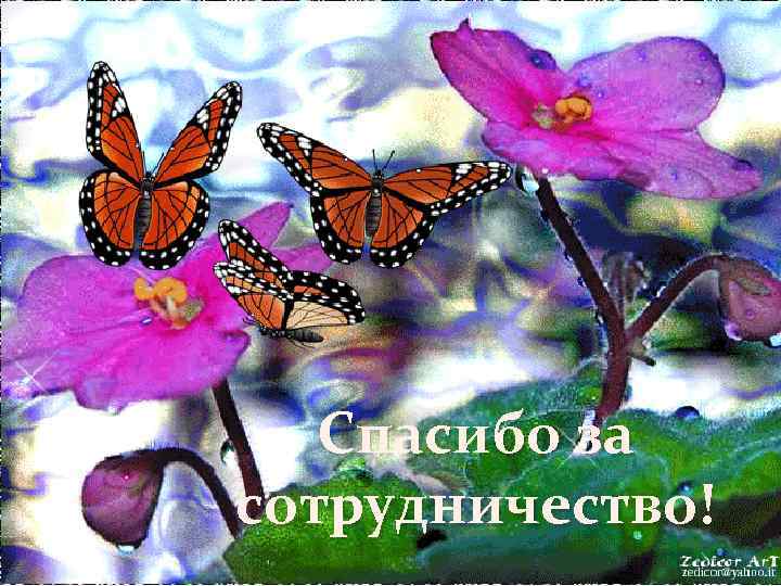 Спасибо за сотрудничество! 