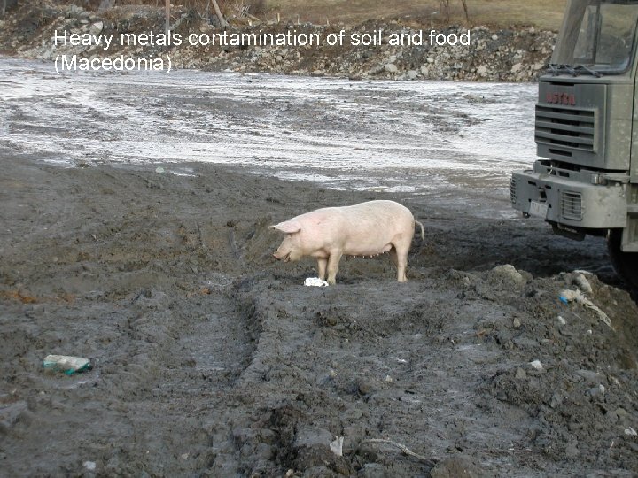 Heavy metals contamination of soil and food (Macedonia) 