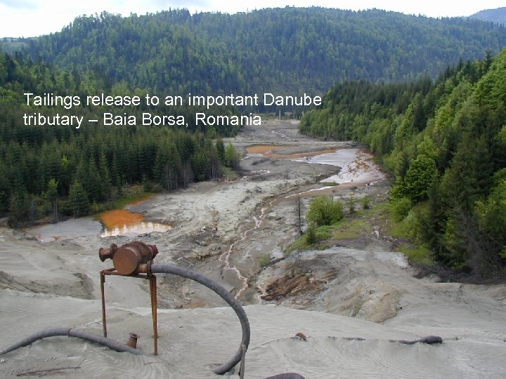 Tailings release to an important Danube tributary – Baia Borsa, Romania 