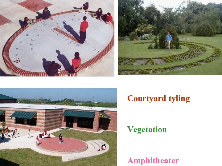 Courtyard tyling Vegetation Amphitheater 