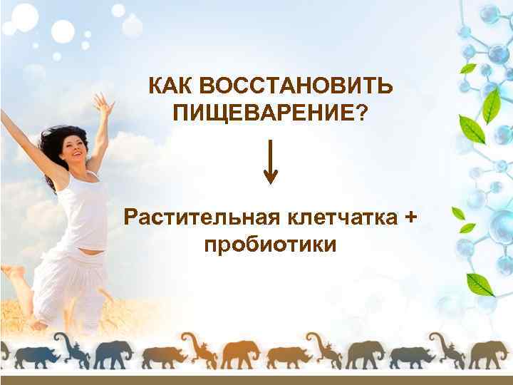 КАК ВОССТАНОВИТЬ ПИЩЕВАРЕНИЕ? Растительная клетчатка + пробиотики 