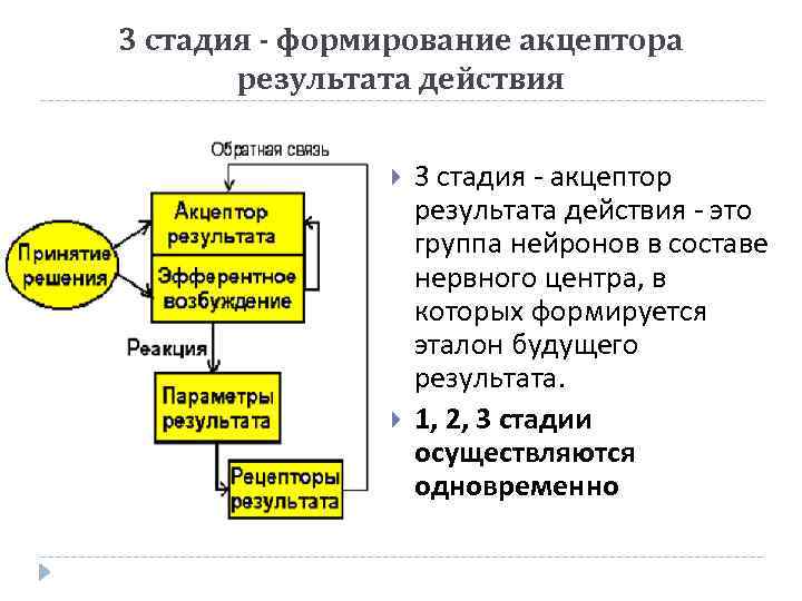 На каком этапе развития операционных систем на передний план вышли средства обеспечения безопасности