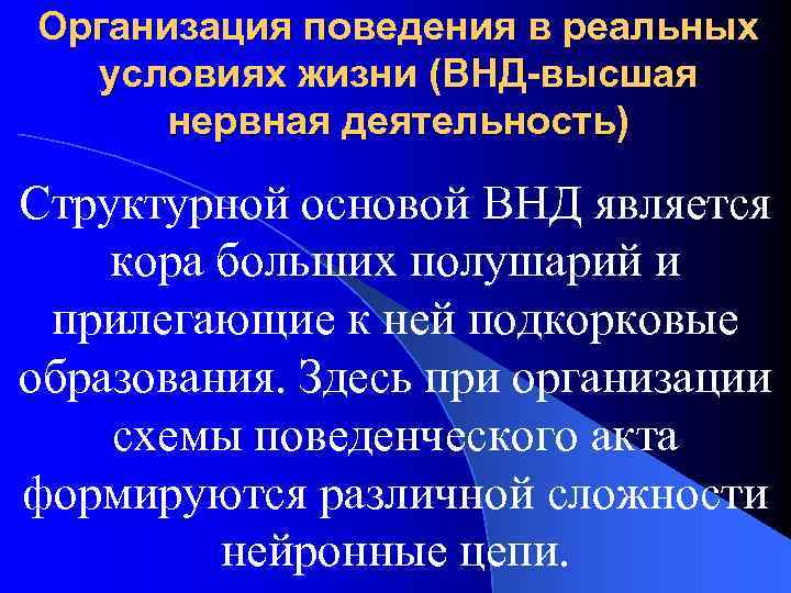 Организация поведения в реальных условиях жизни (ВНД-высшая нервная деятельность) Структурной основой ВНД является кора