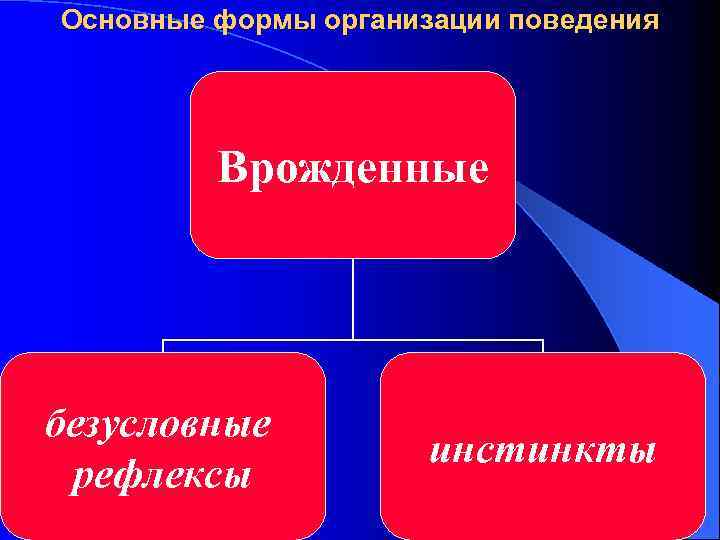 Основные формы организации поведения Врожденные безусловные рефлексы инстинкты 