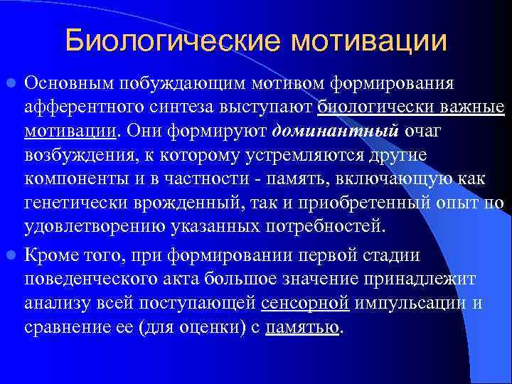 Биологические мотивации Основным побуждающим мотивом формирования афферентного синтеза выступают биологически важные мотивации. Они формируют