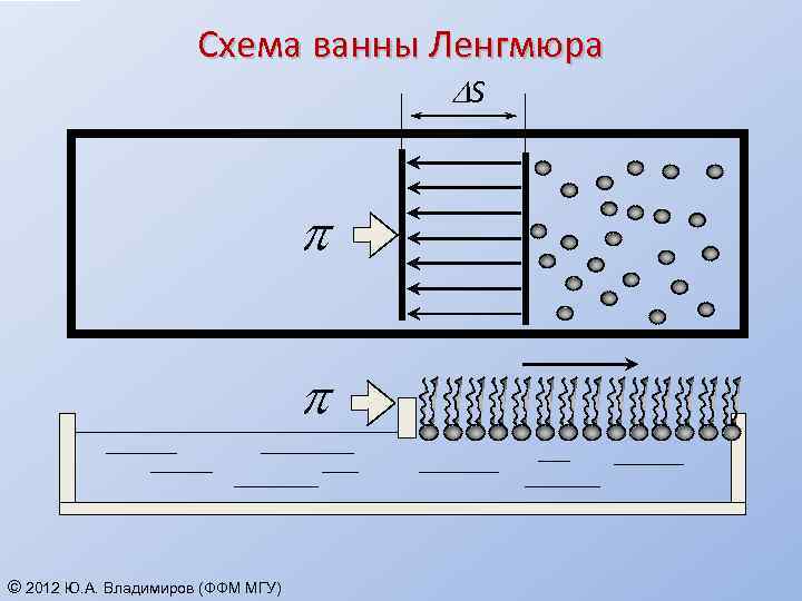 Схема строения li