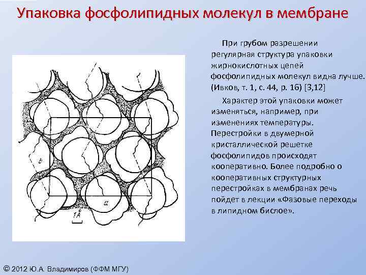 Назовите обозначенные структуры