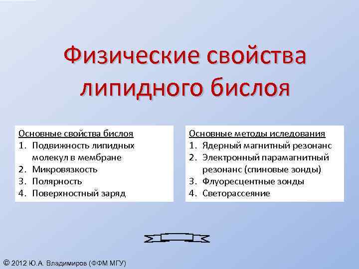 Физические свойства липидного бислоя Основные свойства бислоя 1. Подвижность липидных молекул в мембране 2.