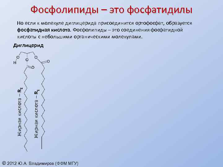 Фосфолипиды – это фосфатидилы Но если к молекуле диглицерида присоединится ортофосфат, образуется фосфатидная кислота.