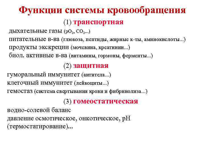 Значение кровообращения. Функции кровообращения. Основные функции кровообращения. Основные функции системы кровообращения. Перечислите функции системы кровообращения.