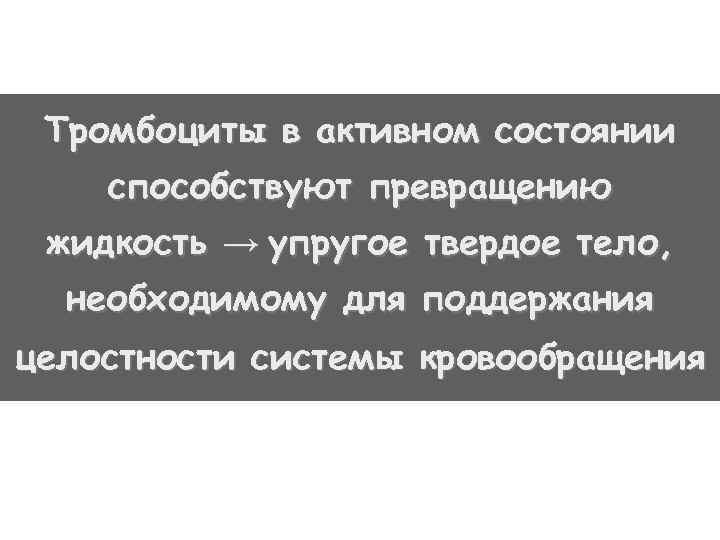 Тромбоциты в активном состоянии способствуют превращению жидкость → упругое твердое тело, необходимому для поддержания