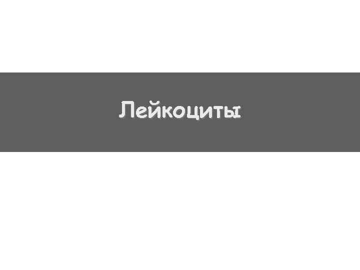 Лейкоциты 
