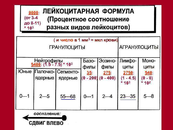 9000: 9000 (от 3 -4 до 8 -11) * 103 ( и число в