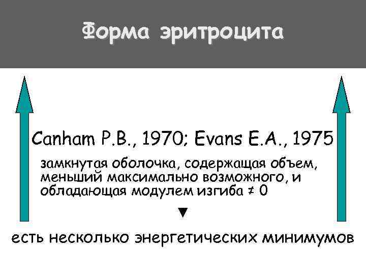 Форма эритроцита Canham P. B. , 1970; Evans E. A. , 1975 замкнутая оболочка,