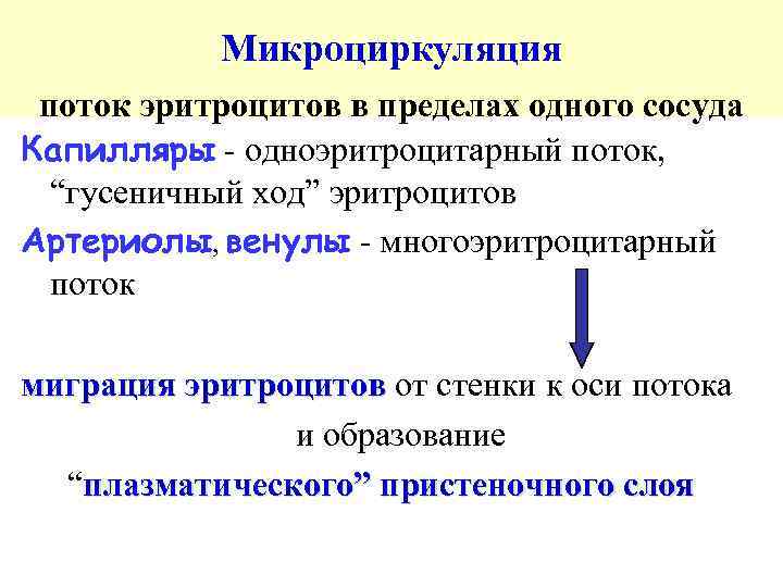 Микроциркуляция поток эритроцитов в пределах одного сосуда Капилляры - одноэритроцитарный поток, “гусеничный ход” эритроцитов