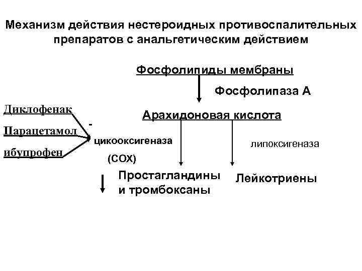 Механизм действия нестероидных противоспалительных препаратов с анальгетическим действием Фосфолипиды мембраны Фосфолипаза А Диклофенак Парацетамол