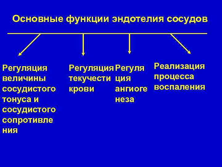 Основные функции эндотелия сосудов Регуляция величины сосудистого тонуса и сосудистого сопротивле ния Регуляция Регуля