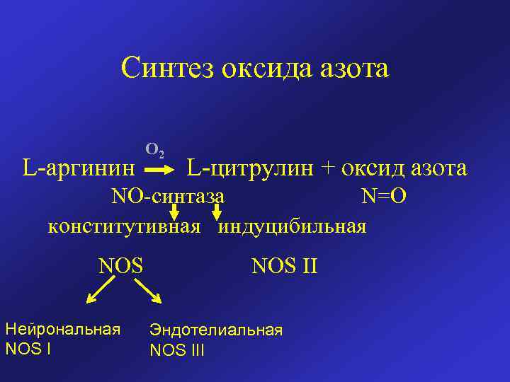 Синтез азота. Синтез окиси азота из аргинина. Синтез оксида азота. Синтез оксида азота в эндотелии. Эндотелиальная синтаза оксида азота.