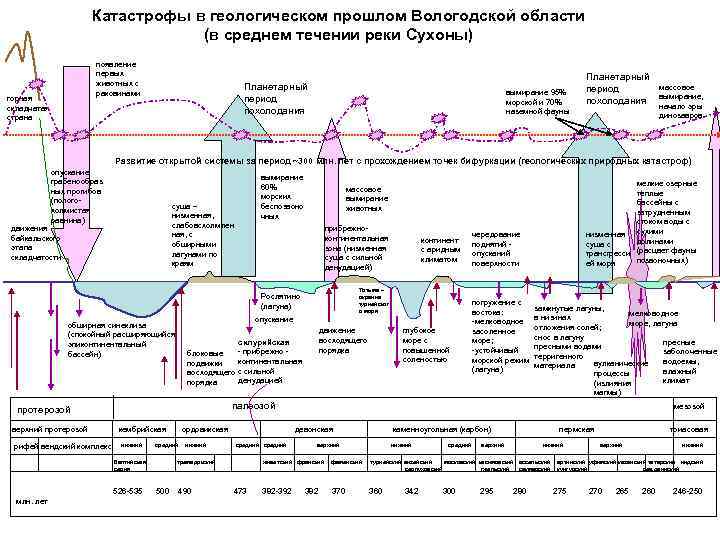 Катастрофы в геологическом прошлом Вологодской области (в среднем течении реки Сухоны) появление первых животных