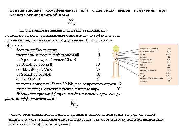 Взвешивающие коэффициенты для отдельных видов излучения при расчете эквивалентной дозы - используемые в радиационной