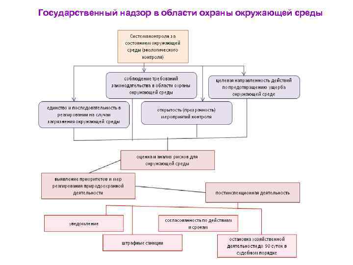 Государственный надзор в области охраны окружающей среды 