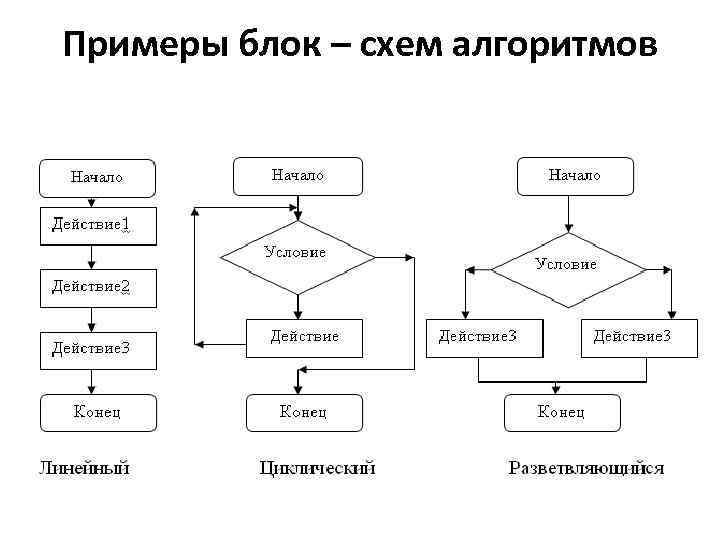 К какому виду алгоритмов можно отнести алгоритм схема которого