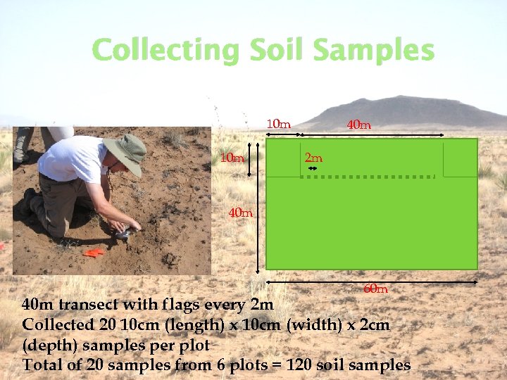 Collecting Soil Samples 10 m 40 m 2 m 40 m 60 m 40