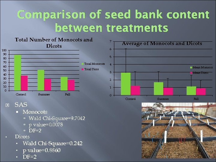 Comparison of seed bank content between treatments 100 90 80 70 60 50 40