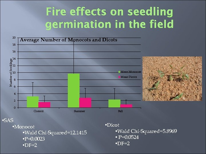 Fire effects on seedling germination in the field 20 Average Number of Monocots and