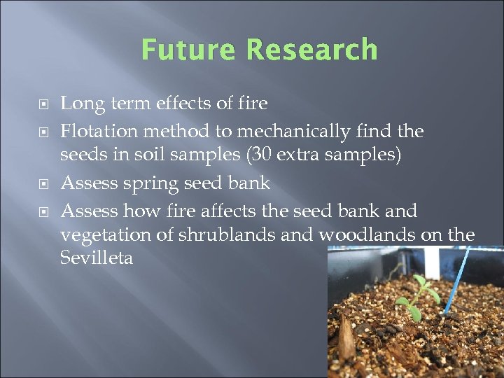 Future Research Long term effects of fire Flotation method to mechanically find the seeds