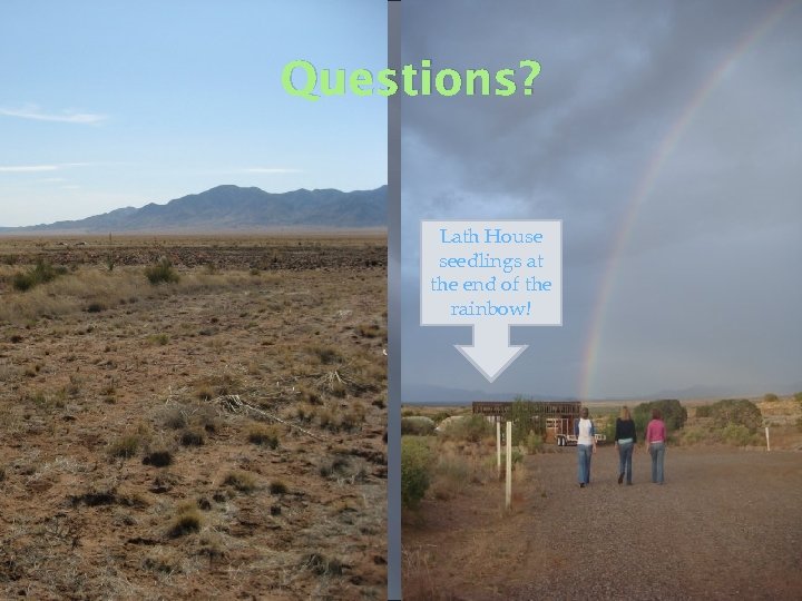 Questions? Lath House seedlings at the end of the rainbow! 