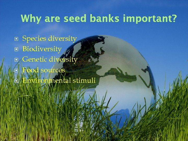 Why are seed banks important? Species diversity Biodiversity Genetic diversity Food sources Environmental stimuli