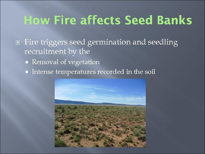 How Fire affects Seed Banks Fire triggers seed germination and seedling recruitment by the