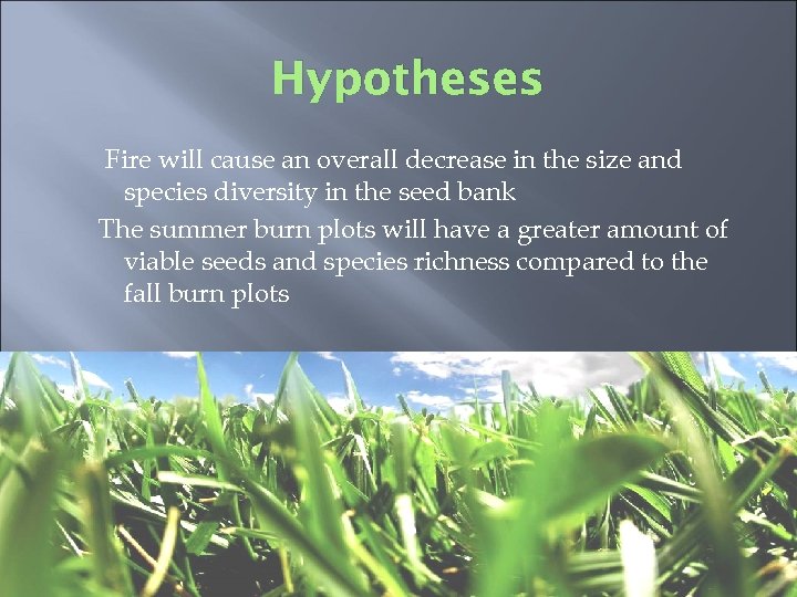 Hypotheses Fire will cause an overall decrease in the size and species diversity in