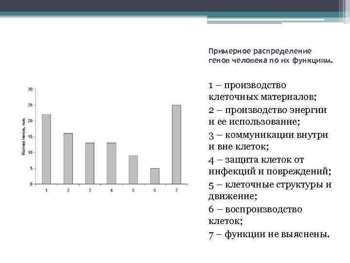 Примерное распределение генов человека по их функциям. 1 – производство клеточных материалов; 2 –