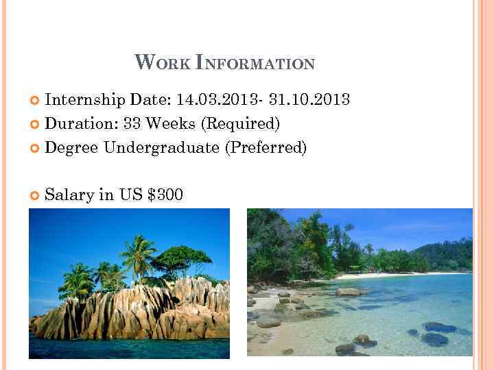 WORK INFORMATION Internship Date: 14. 03. 2013 - 31. 10. 2013 Duration: 33 Weeks